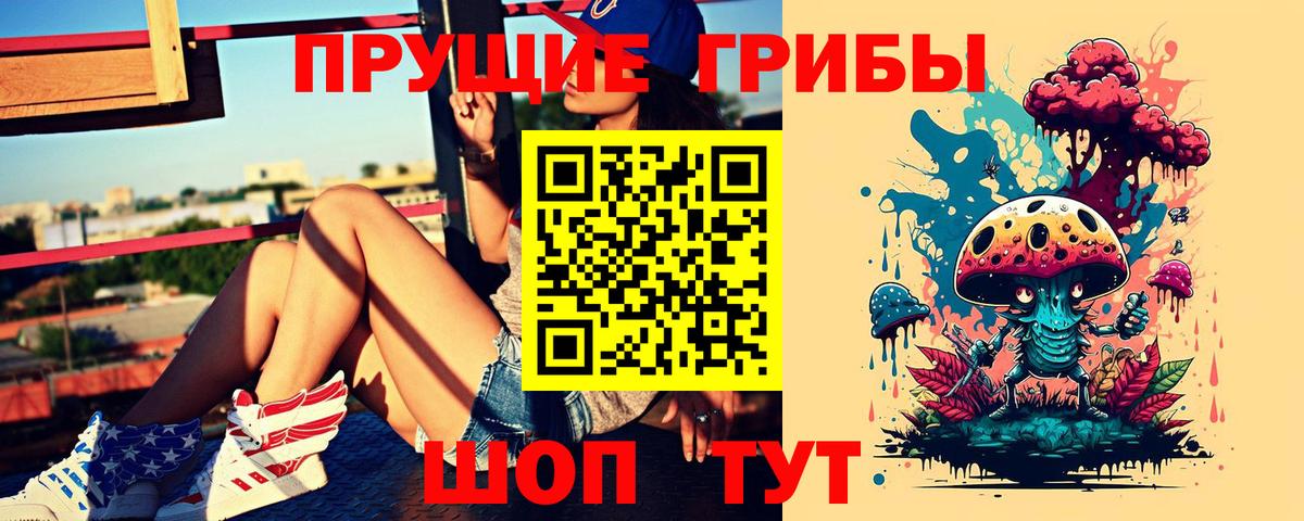 Галлюциногенные грибы Psilocybe Мариинск